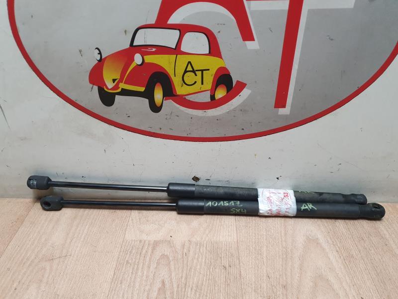 Molla a gas bagagliaio SUZUKI SX4 1 Diésel - 1