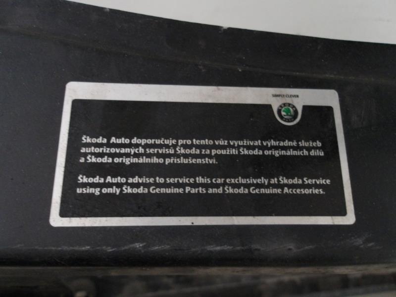 Buse SKODA OCTAVIA 2 PHASE 2 BREAK Diesel - 1