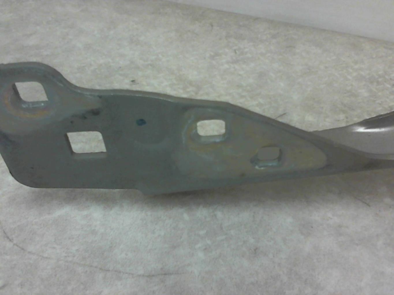 Charniere de capot RENAULT SCENIC 3 PHASE 3 Diesel - 1