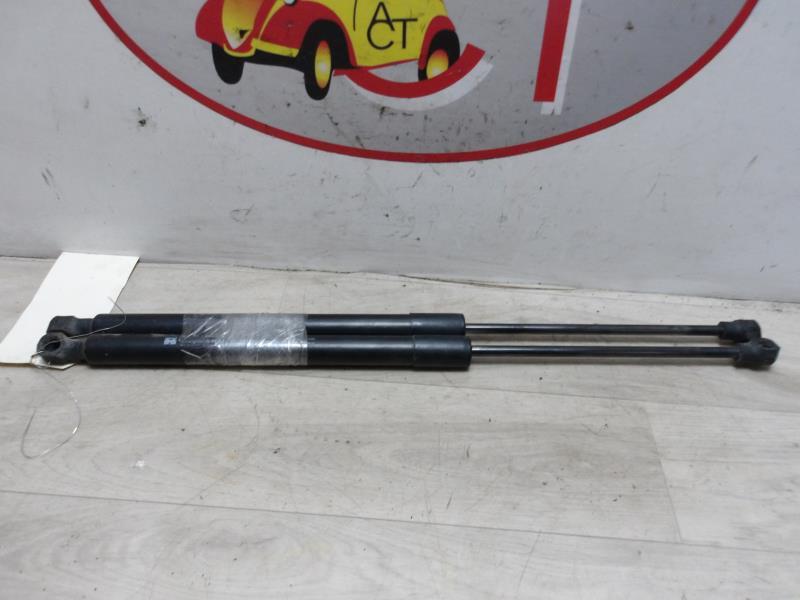 Verin de coffre RENAULT CLIO 4 PHASE 1 Diesel - 1