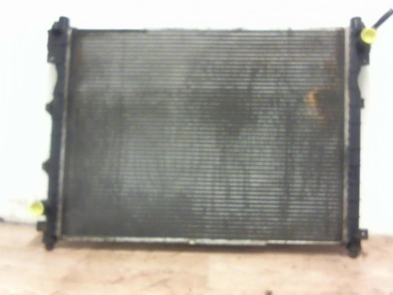 Radiateur eau LAND ROVER FREELANDER 1 PHASE 2 Diesel - 1