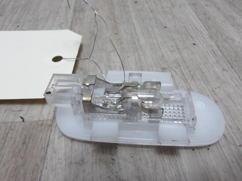 Luce portiera anteriore sinistra RENAULT SCENIC 4 Diésel - 1