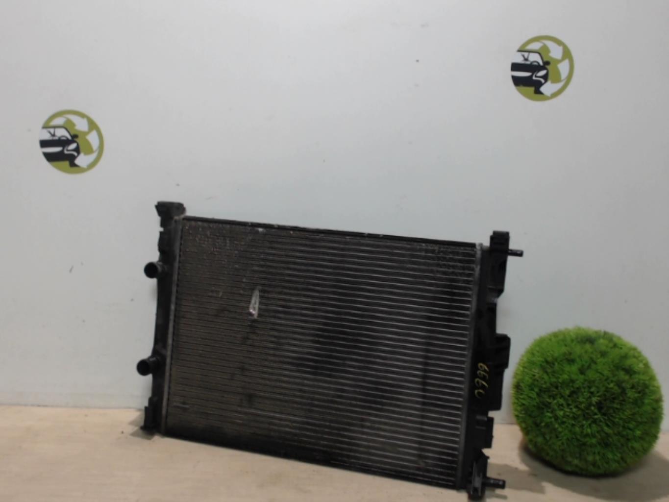 Radiateur eau RENAULT SCENIC 2 PHASE 1 Diesel - 1