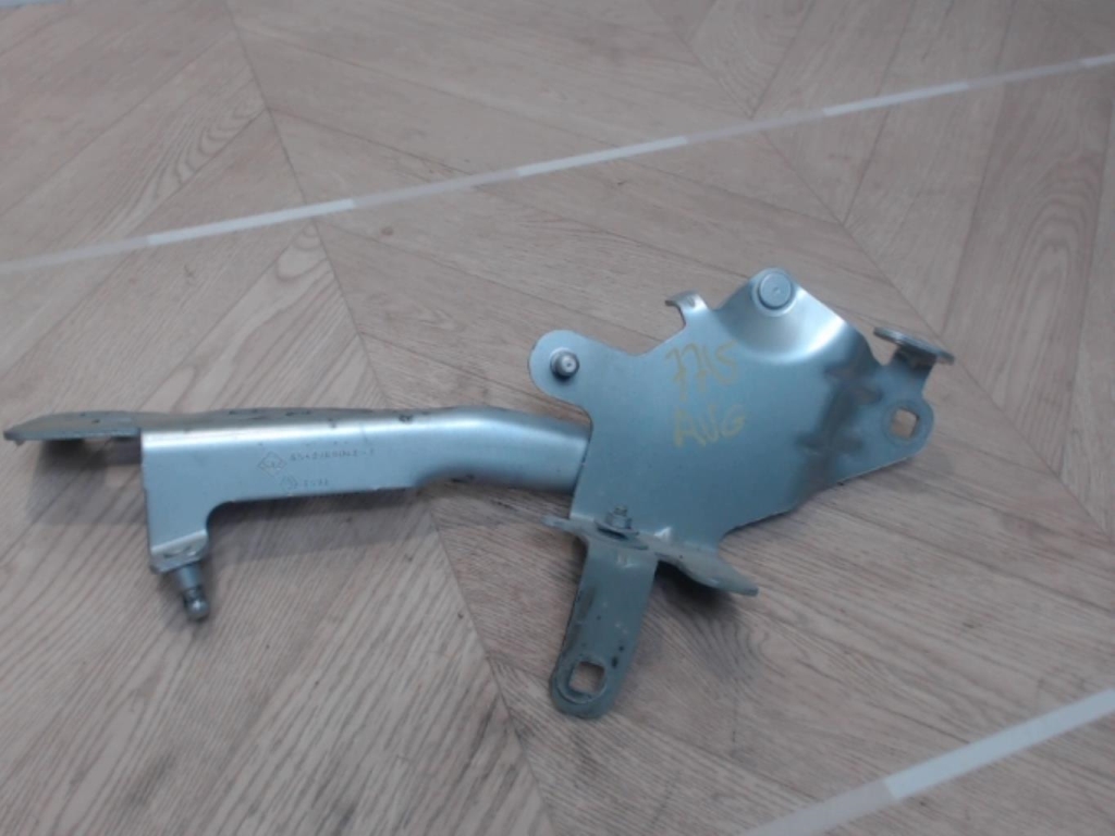 Charniere de capot RENAULT SCENIC 3 PHASE 2 Diesel - 1