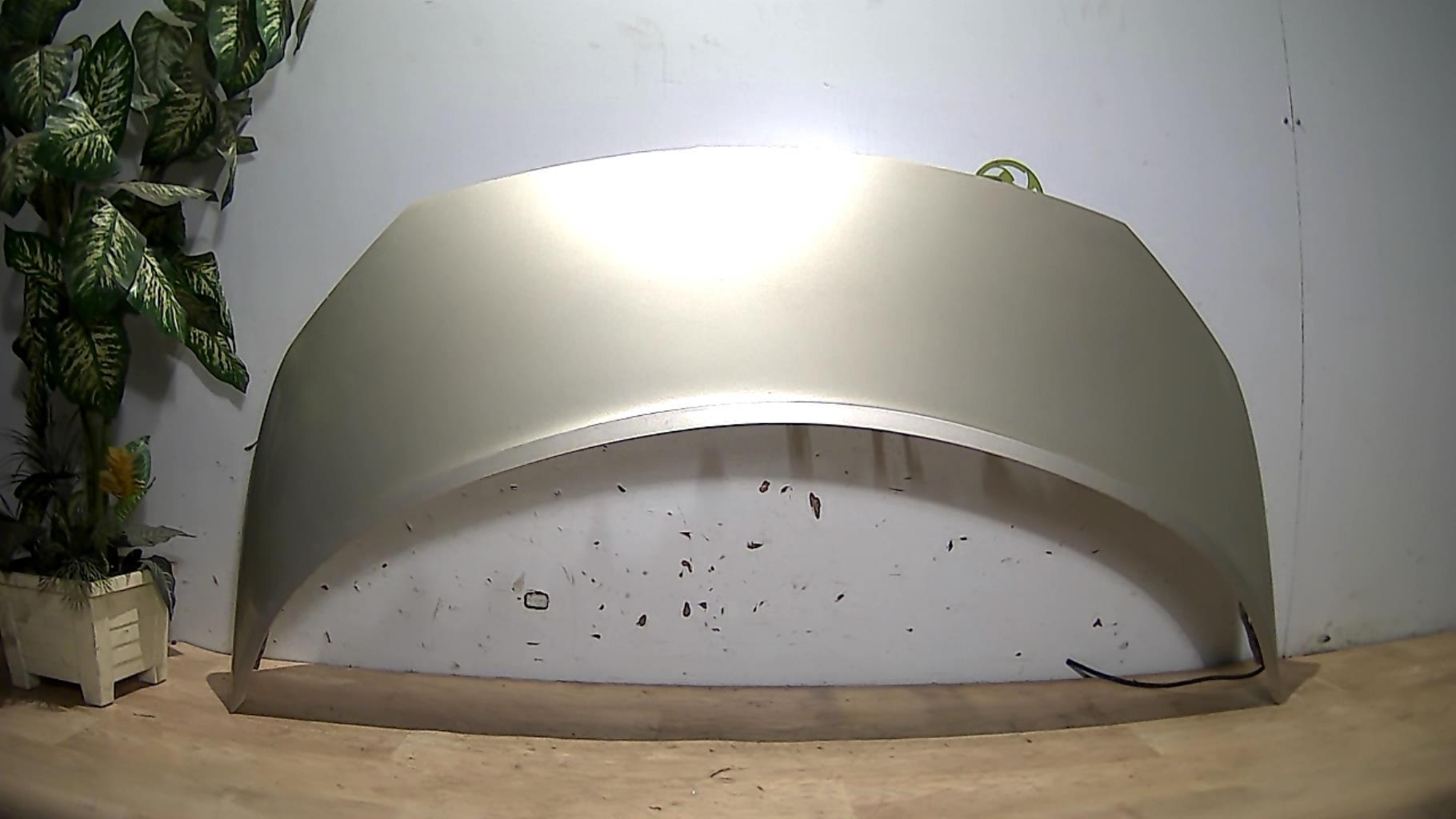Capot RENAULT SCENIC 2 PHASE 2  - 1
