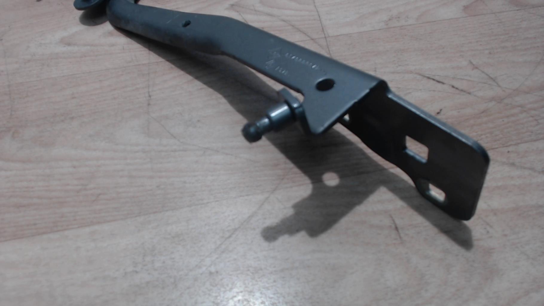 Charniere de capot RENAULT SCENIC 3 PHASE 1 Diesel - 1
