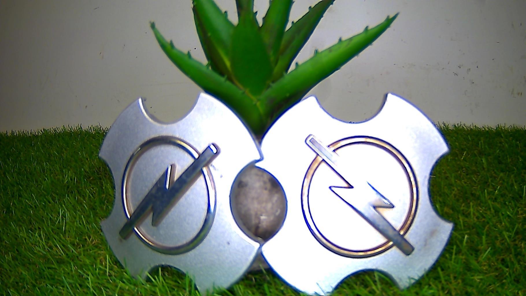 Logo OPEL OPEL  - 1