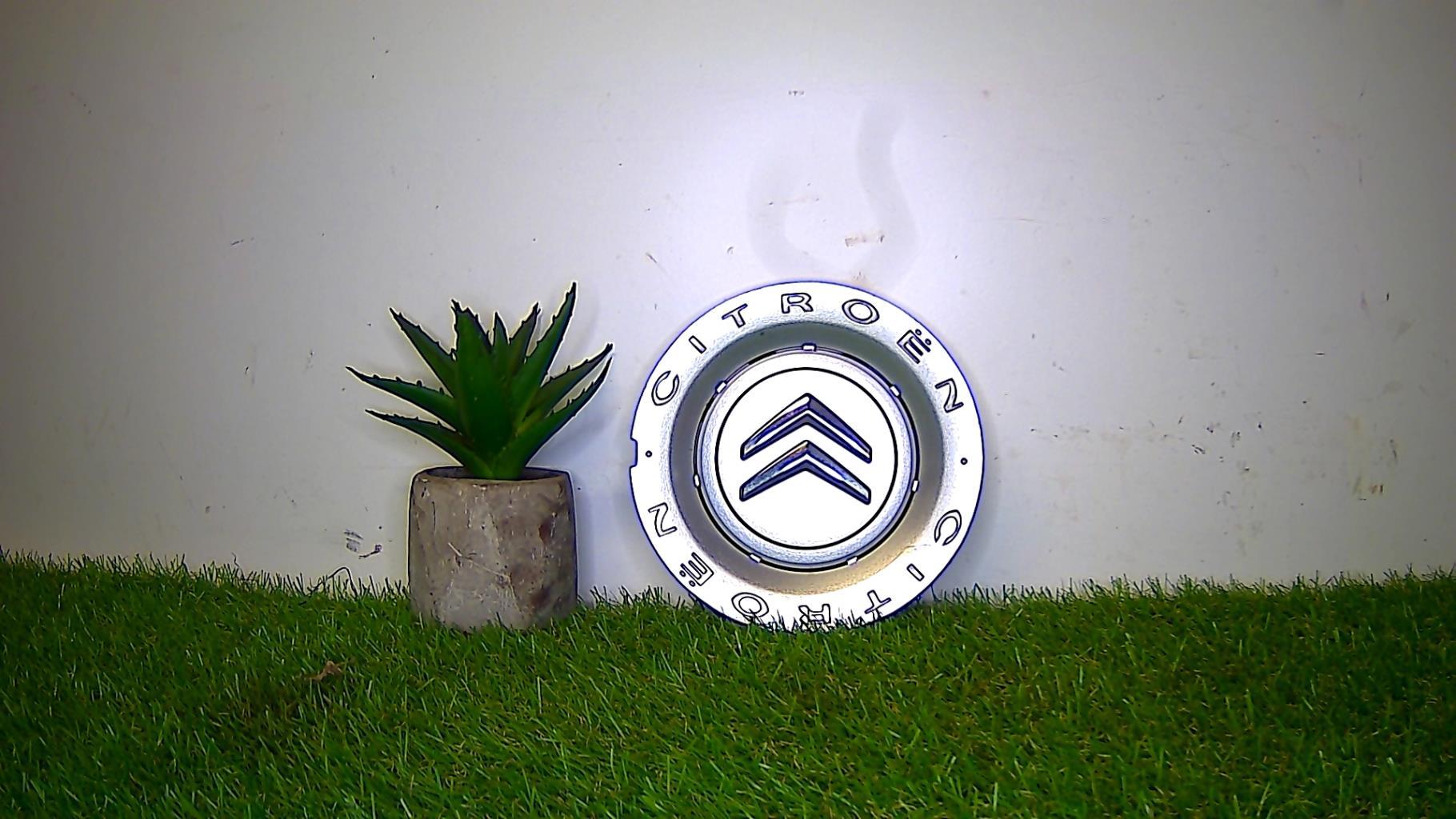 Logo CITROEN CITROEN  - 1