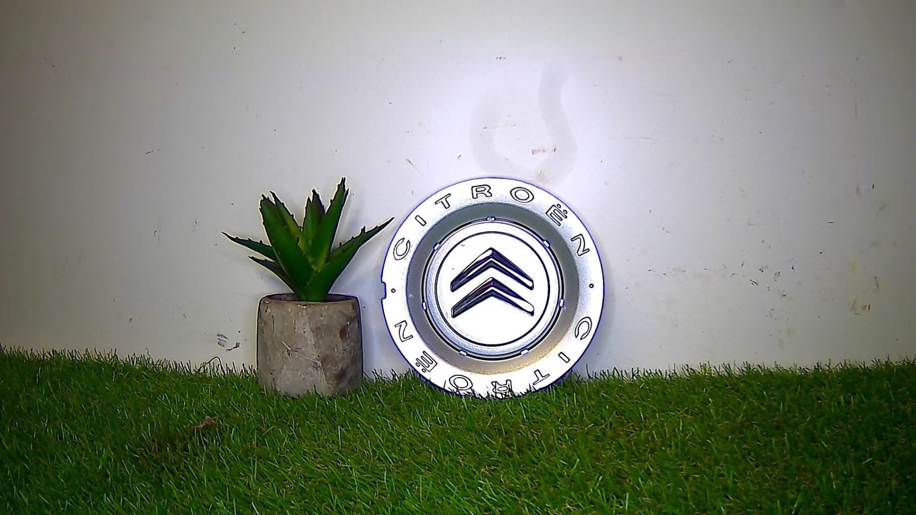 Logo CITROEN CITROEN  - 1