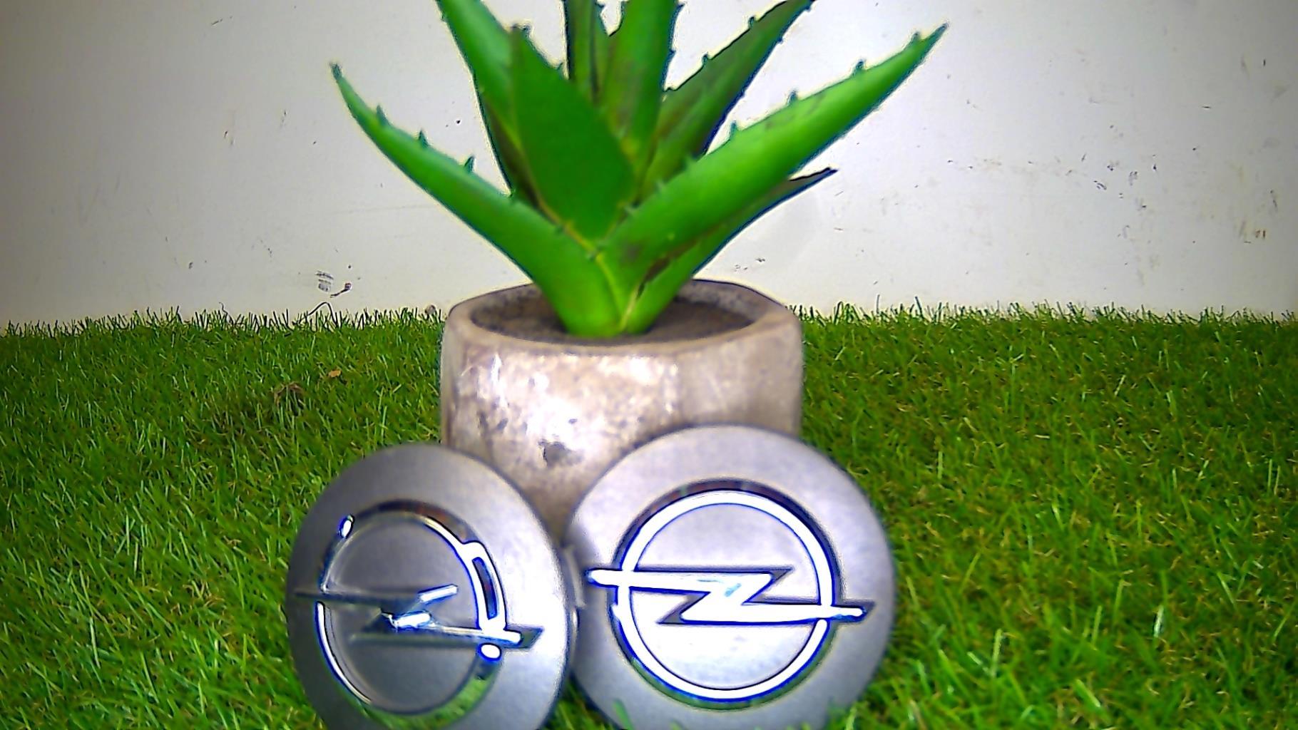 Logo OPEL OPEL  - 1