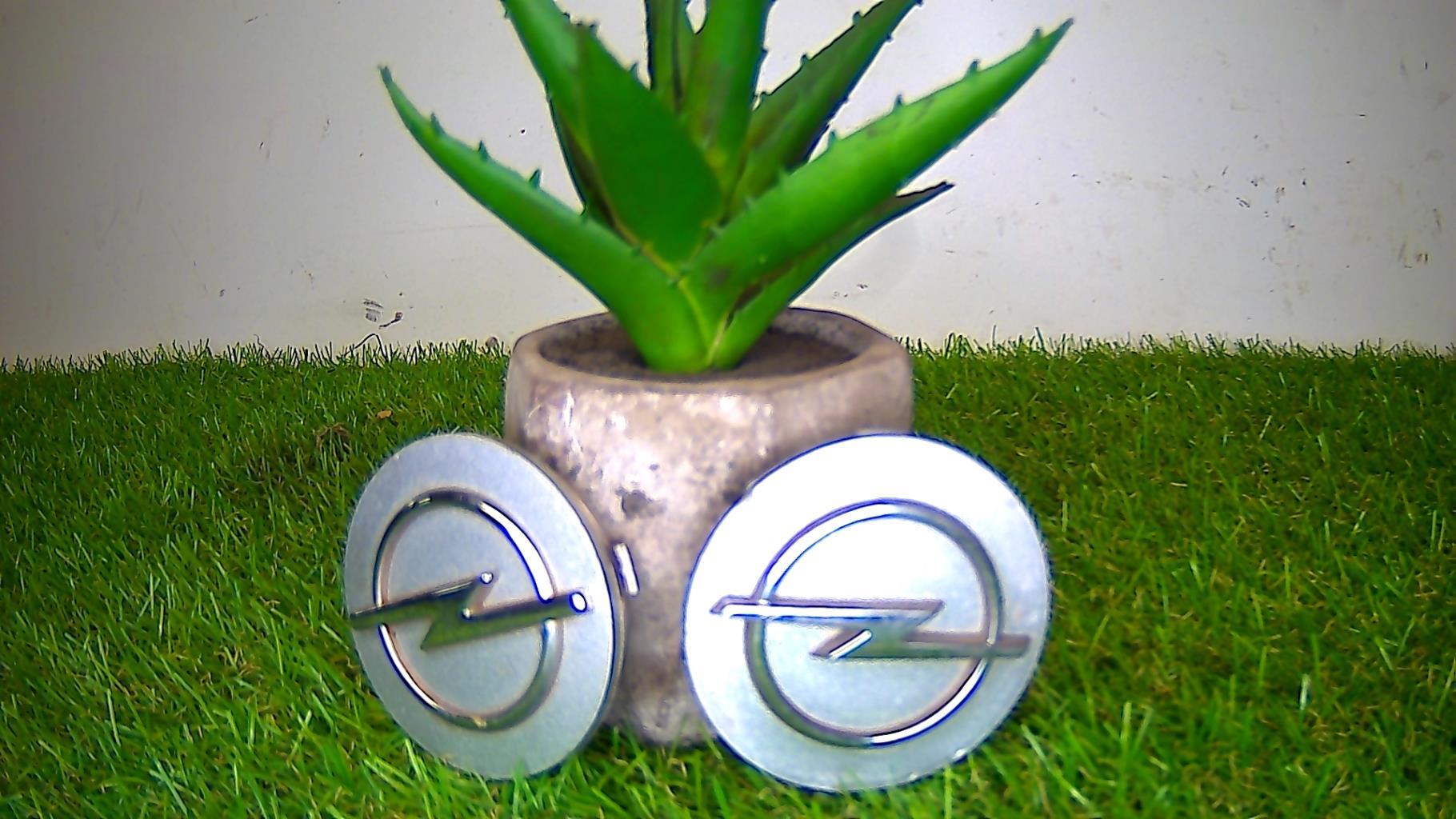 Logo OPEL OPEL  - 1