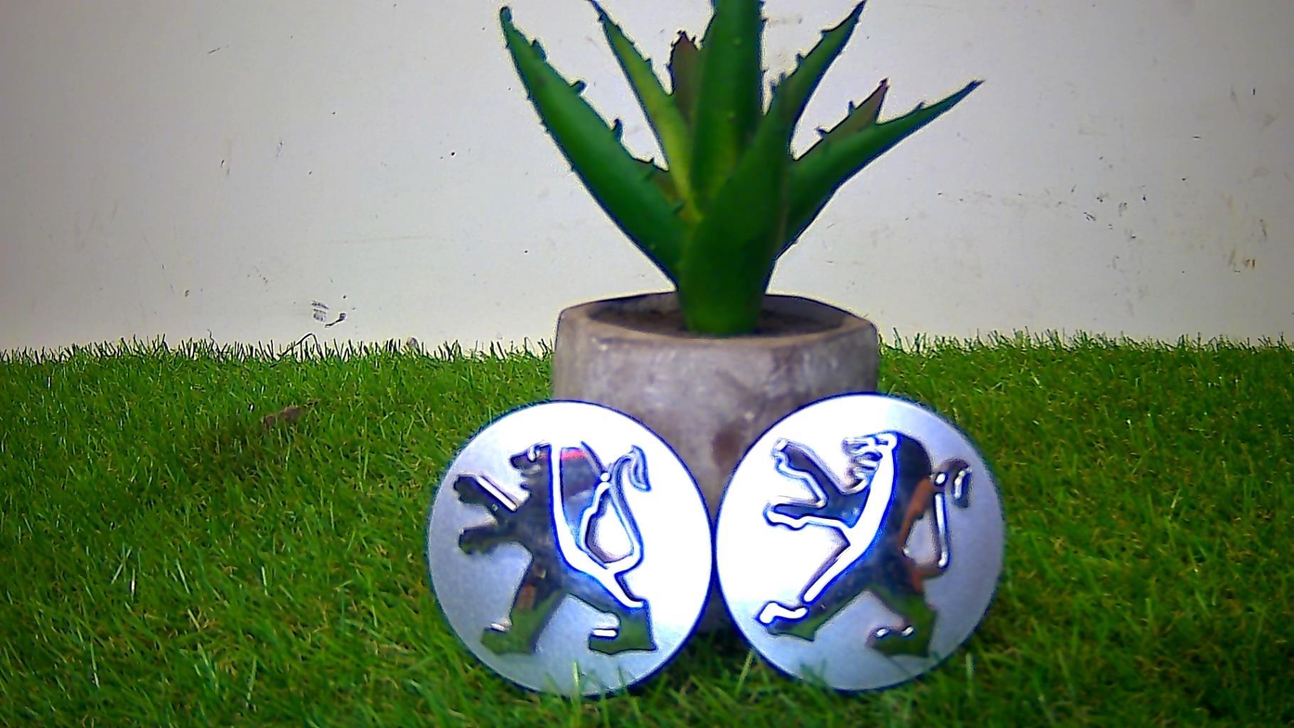 Logo PEUGEOT PEUGEOT  - 1