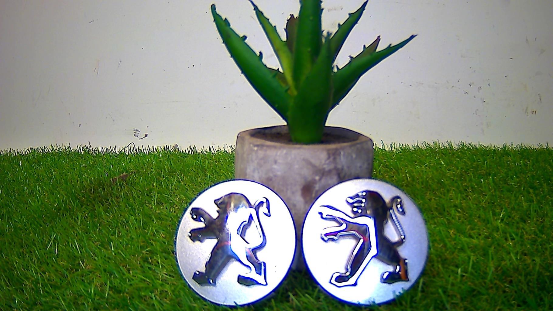 Logo PEUGEOT PEUGEOT  - 1