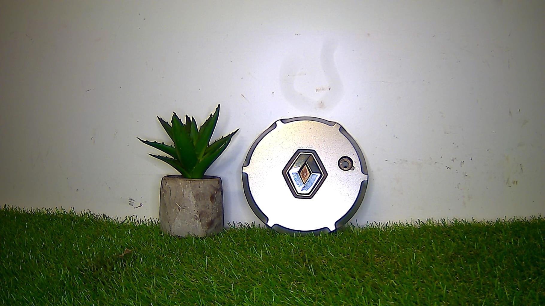 Logo RENAULT RENAULT  - 1