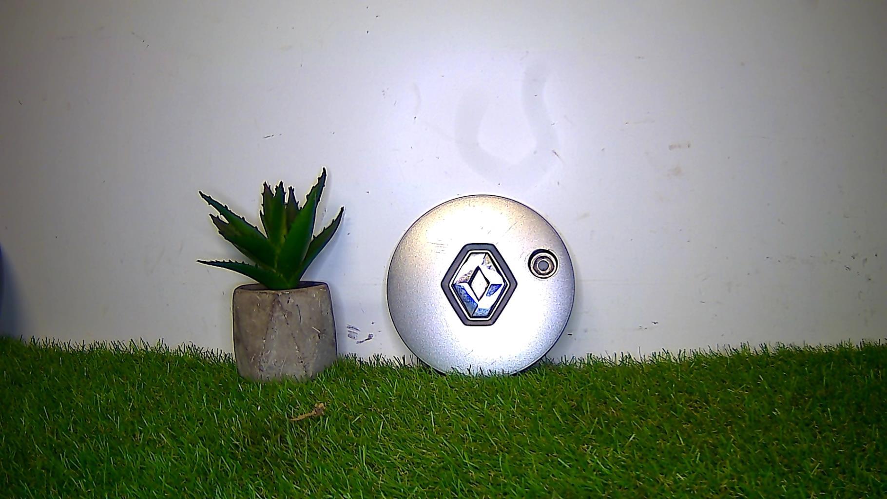 Logo RENAULT RENAULT  - 1