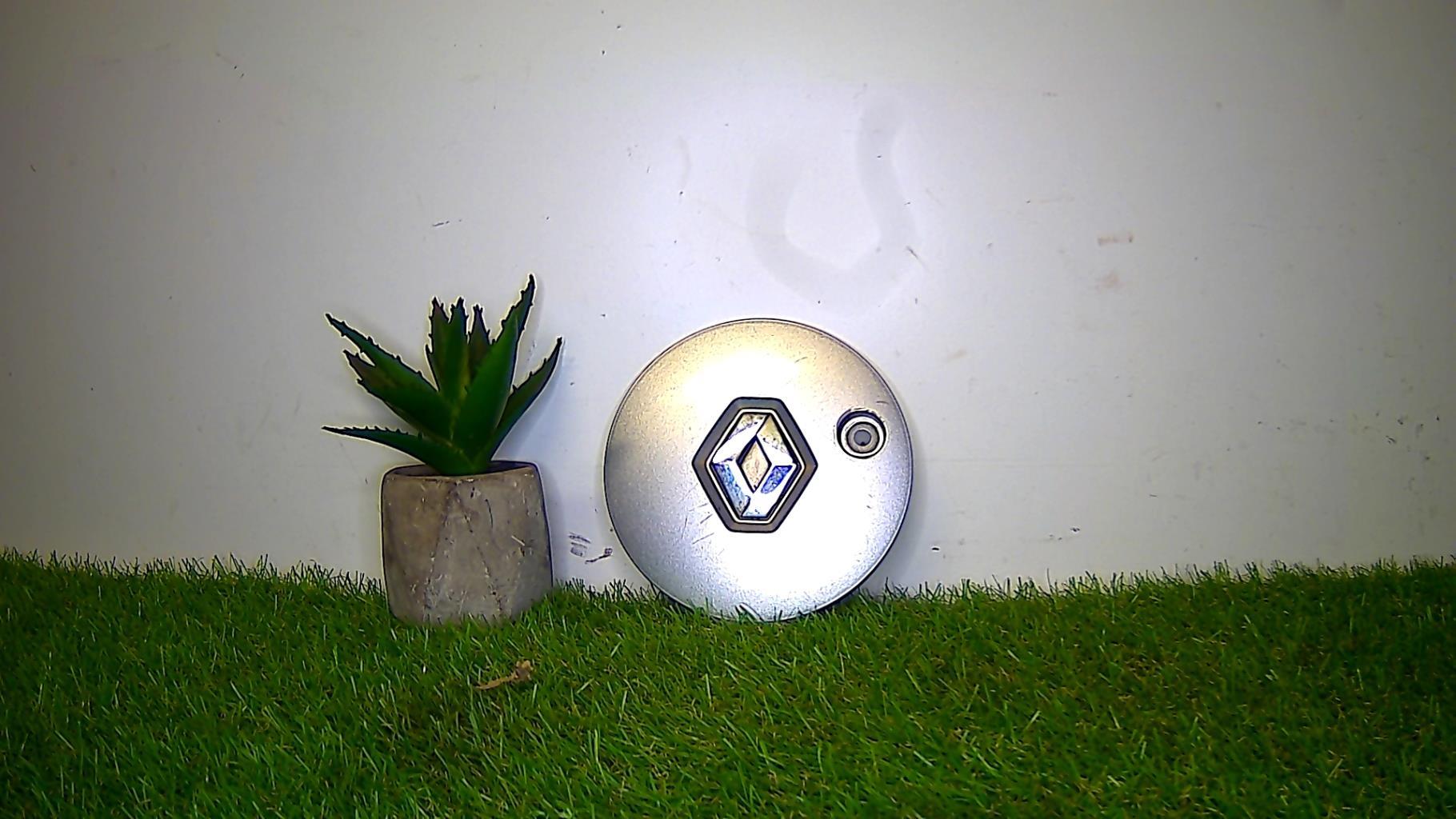 Logo RENAULT RENAULT  - 1