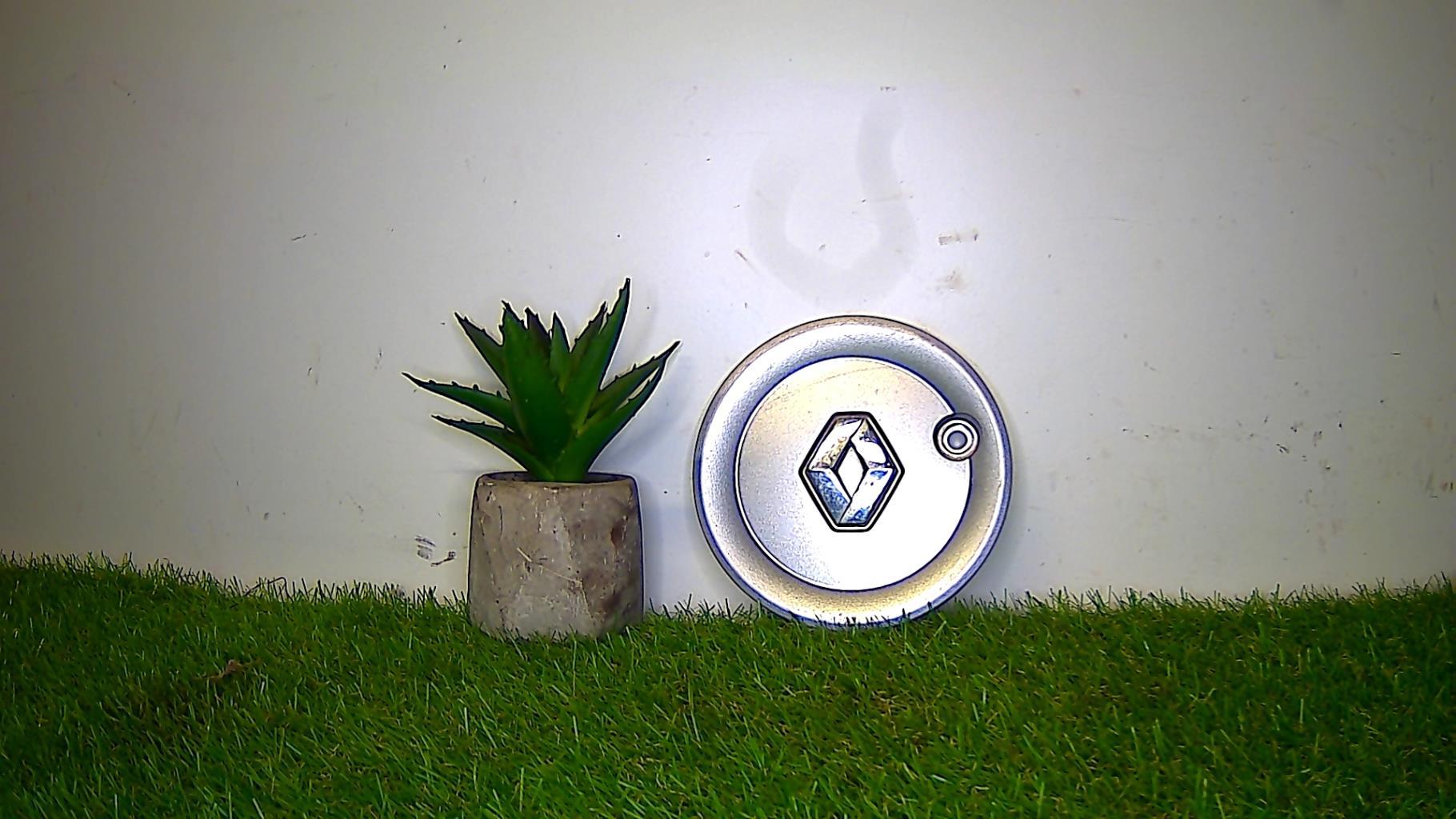 Logo RENAULT RENAULT  - 1