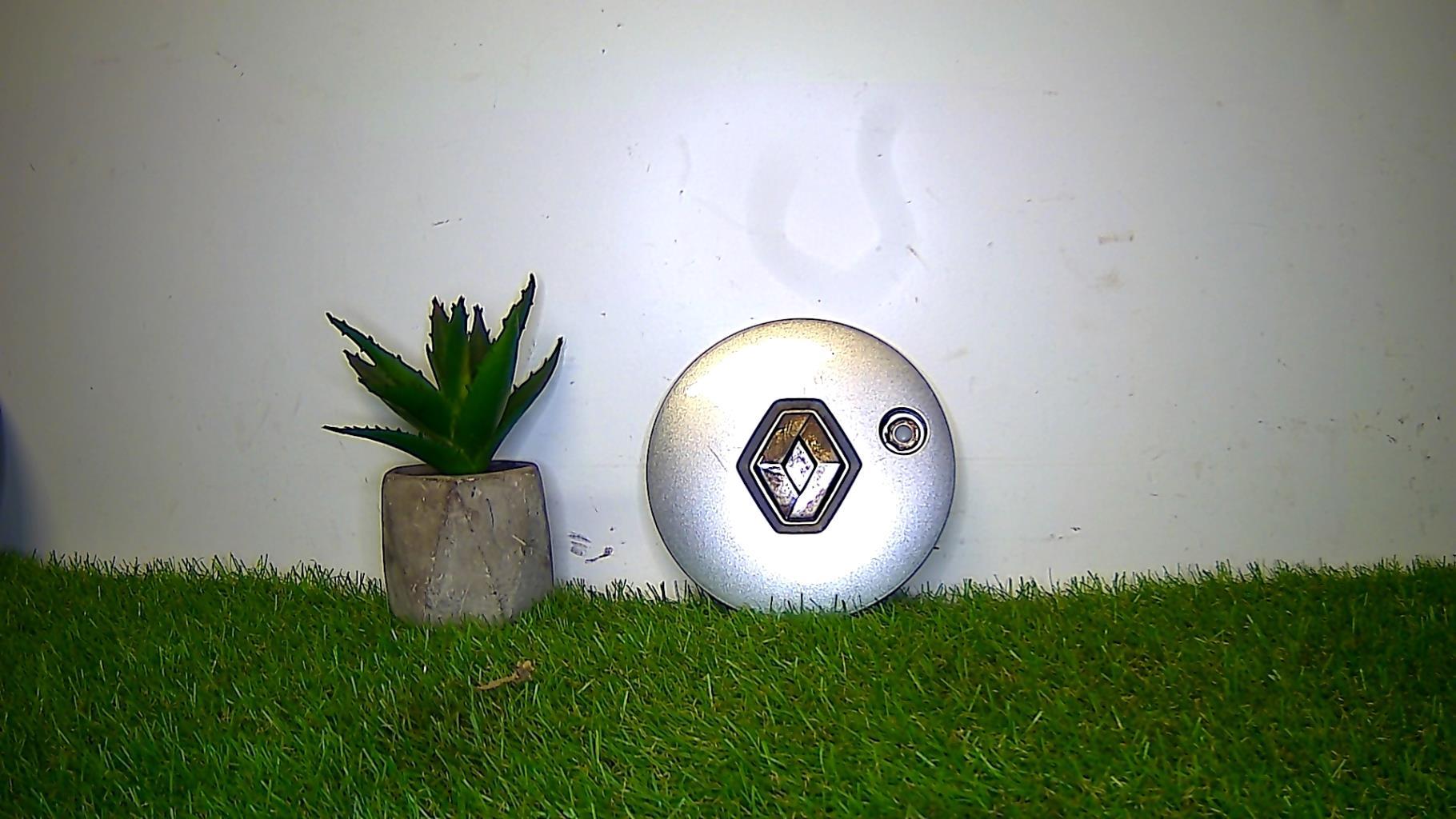 Logo RENAULT RENAULT  - 1