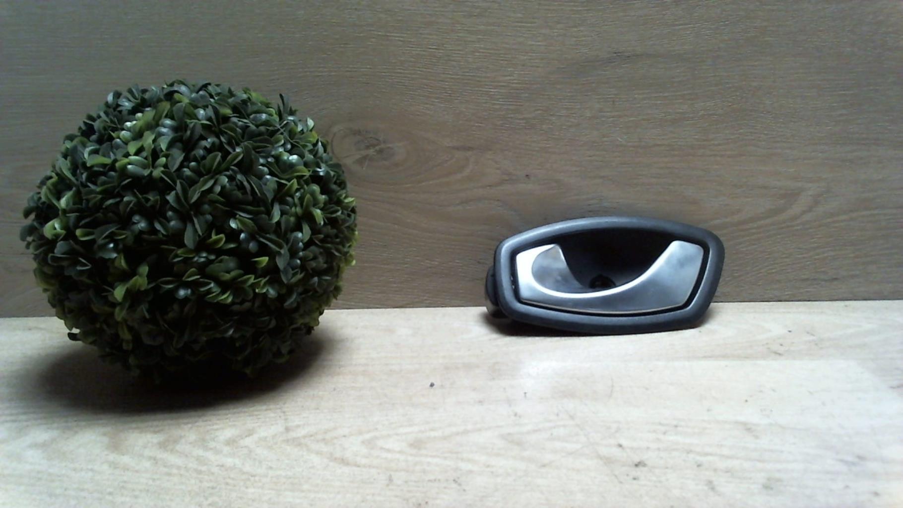 Poignee interieur arriere gauche RENAULT SCENIC 3 PHASE 1  - 1