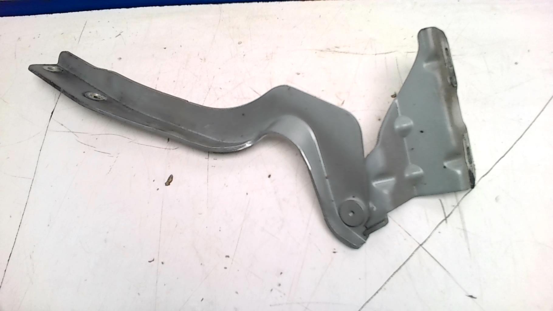 Charniere de capot NISSAN QASHQAI 1 PHASE 1 Diesel - 1