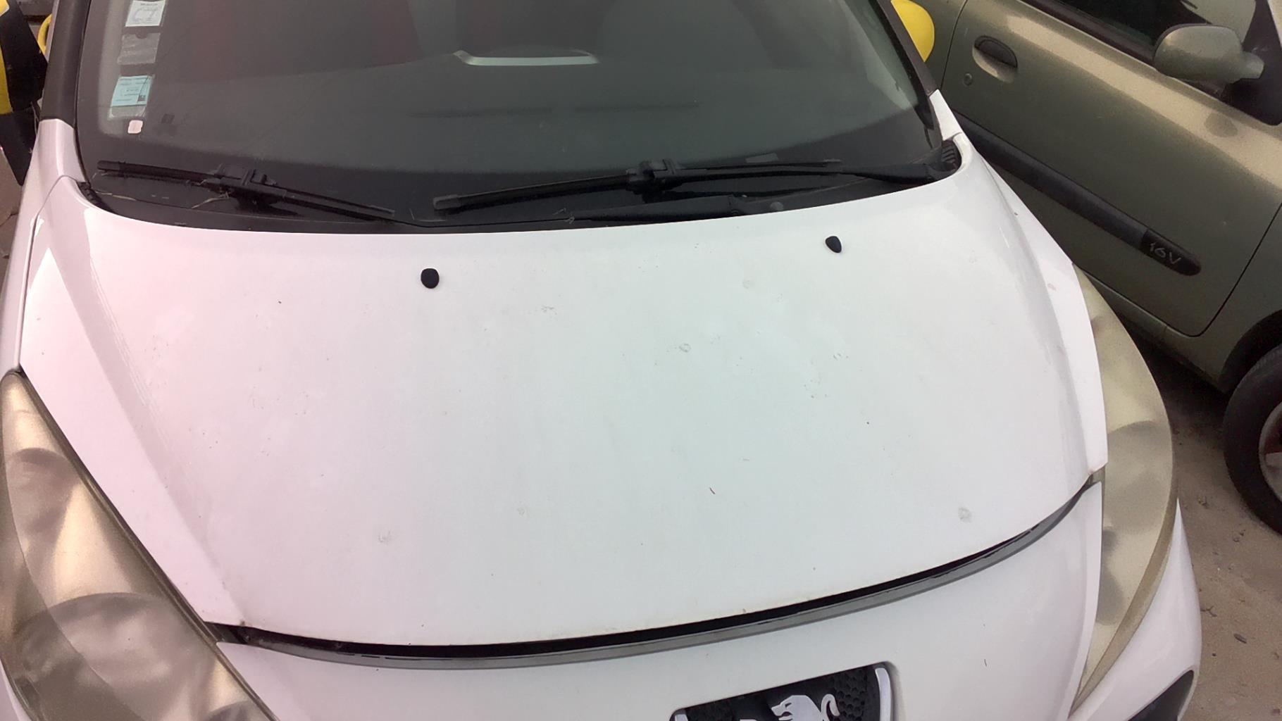 Capot PEUGEOT 207 PHASE 1 BREAK Diesel - 1
