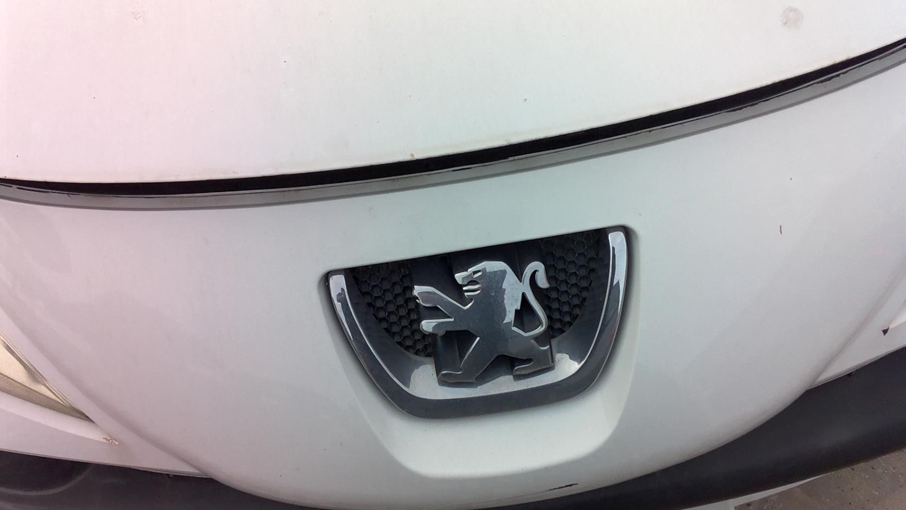 Calandre PEUGEOT 207 PHASE 1 BREAK Diesel - 1