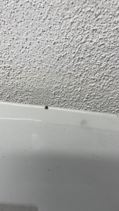 Photo de la pièce