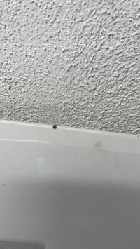 Photo de la pièce