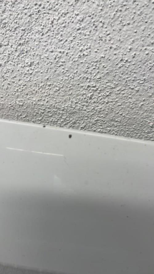 Photo de la pièce