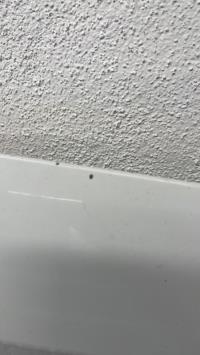 Photo de la pièce