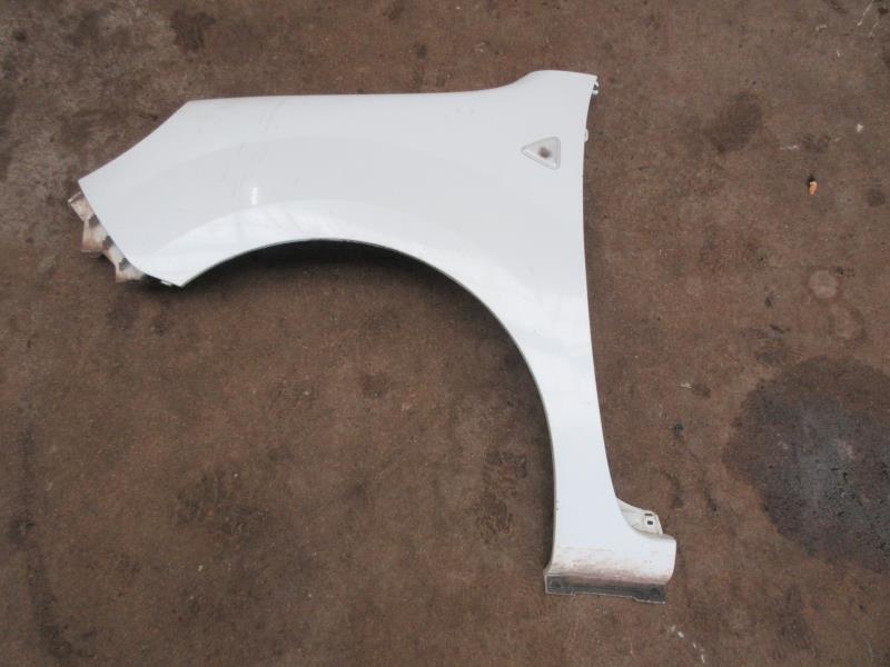 Parafango anteriore sinistro RENAULT KANGOO 2 PHASE 1 Diésel - 1