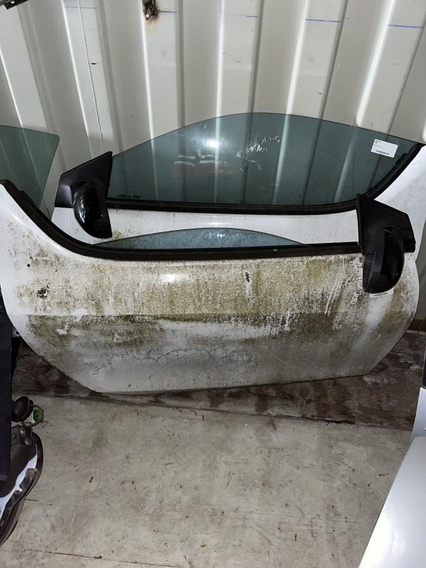 Porte avant droit RENAULT WIND  - 1