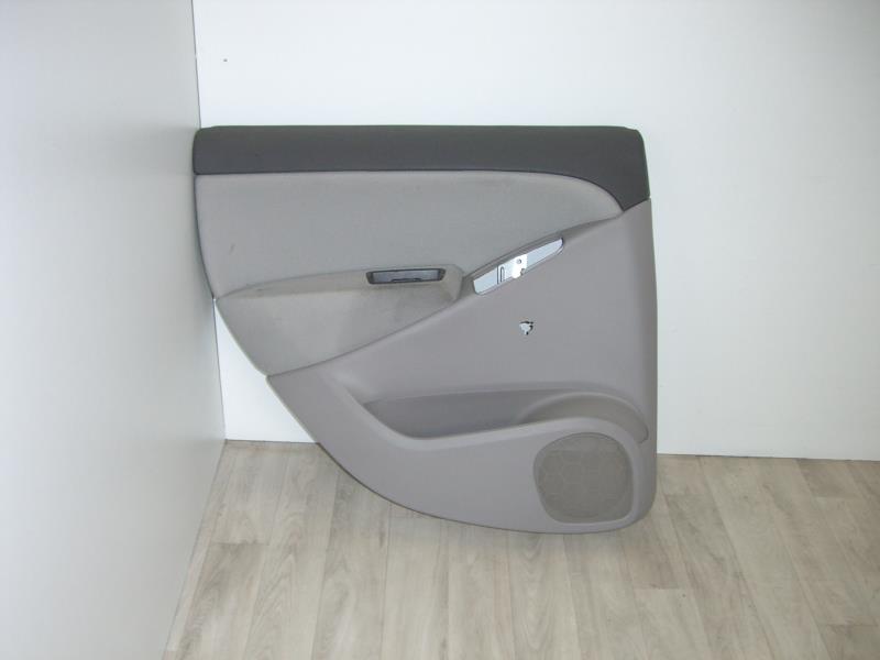 Pannello portiera posteriore sinistro FIAT IDEA PHASE 1 Diésel - 1