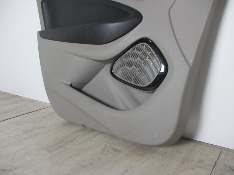 Pannello portiera anteriore sinistro RENAULT ZOE 1 Electricidad - 1