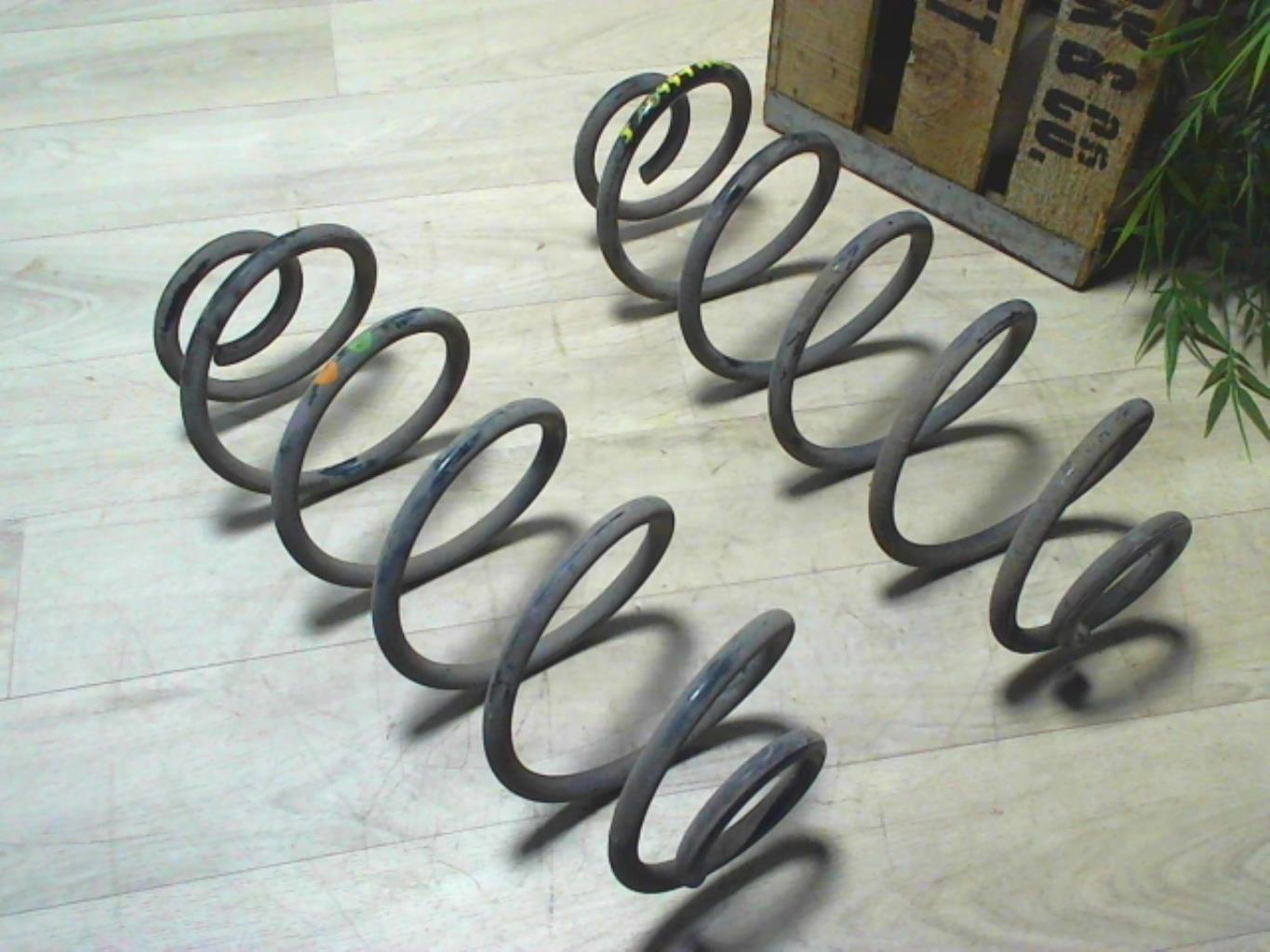 Molla sospensione posteriore CITROEN C3 PICASSO PHASE 1 Diésel - 1