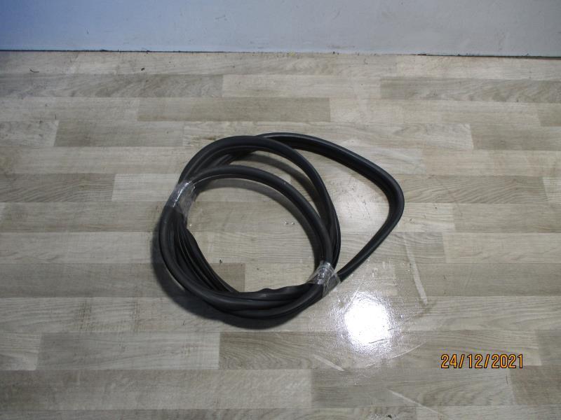 Guarnizione sportello anteriore destro FIAT GRANDE PUNTO Diésel - 1