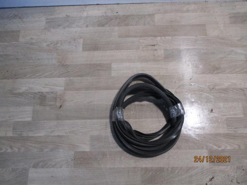 Guarnizione sportello anteriore sinistro FIAT GRANDE PUNTO Diésel - 1