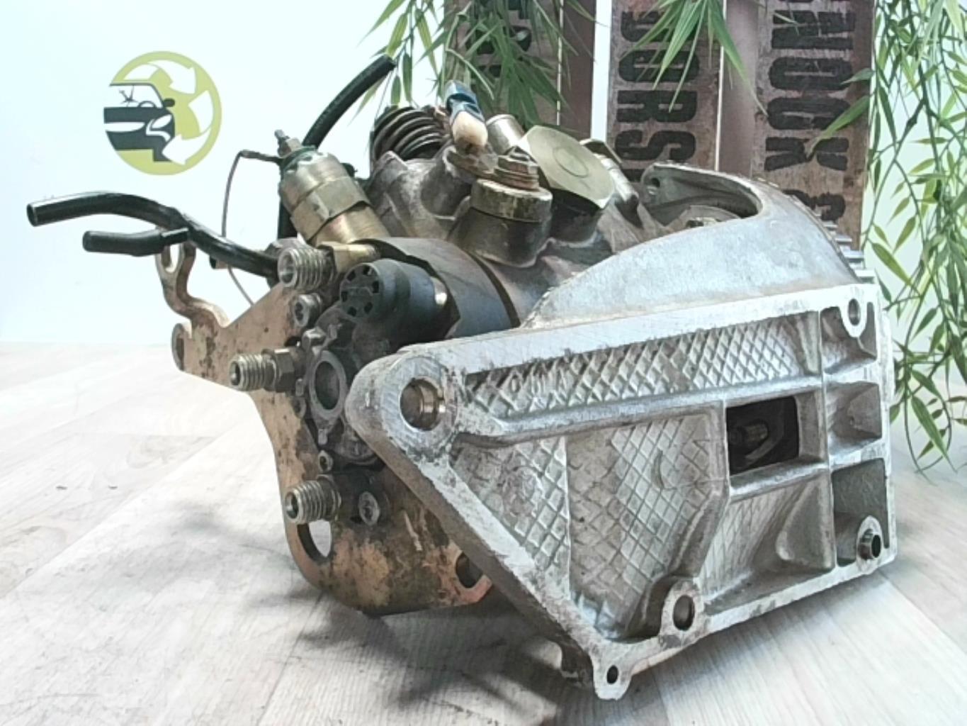 Bomba de inyección ROVER 200 1 PHASE 2 Diésel - 1