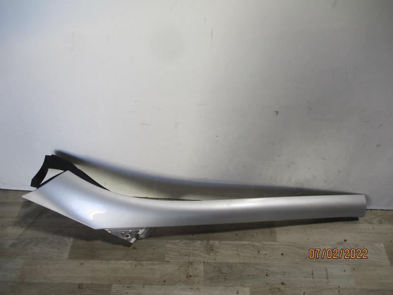 Modanatura portiera anteriore sinistra RENAULT SCENIC 3 PHASE 1 Diésel - 1