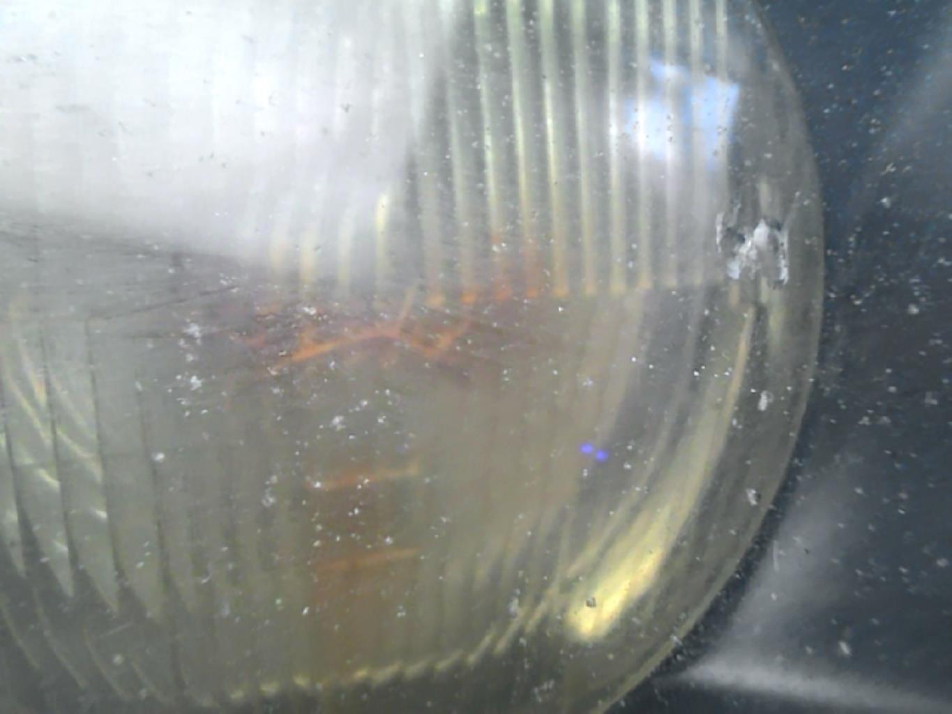 Gruppo ottico anteriore principale destro (luci)(faro) BMW SERIE 3 E36  - 1
