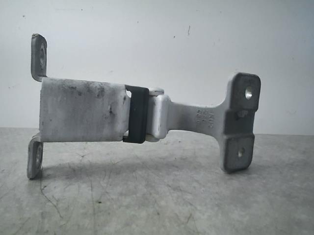Cerniera portiera posteriore sinistra RENAULT KANGOO 2 PHASE 1 Diésel - 1