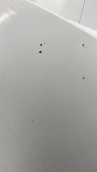 Photo de la pièce
