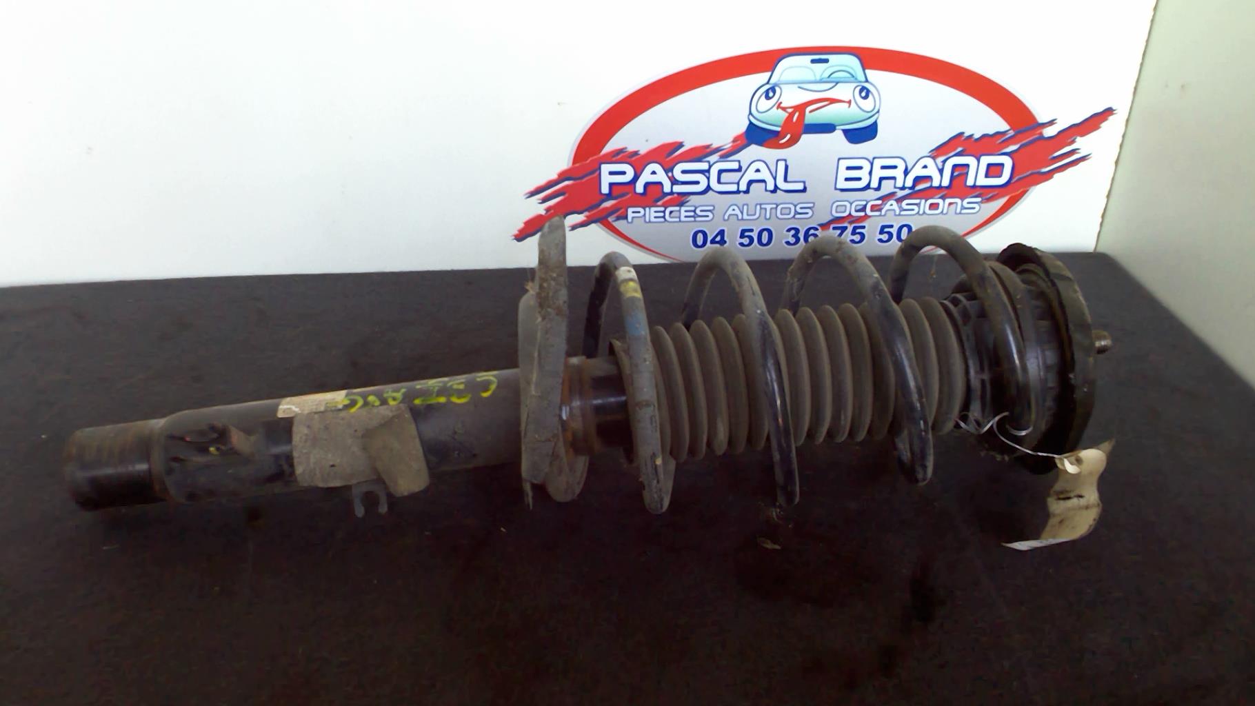Ammortizzatore anteriore sinistro CITROEN C3 2 PHASE 2 Gasolina - 1