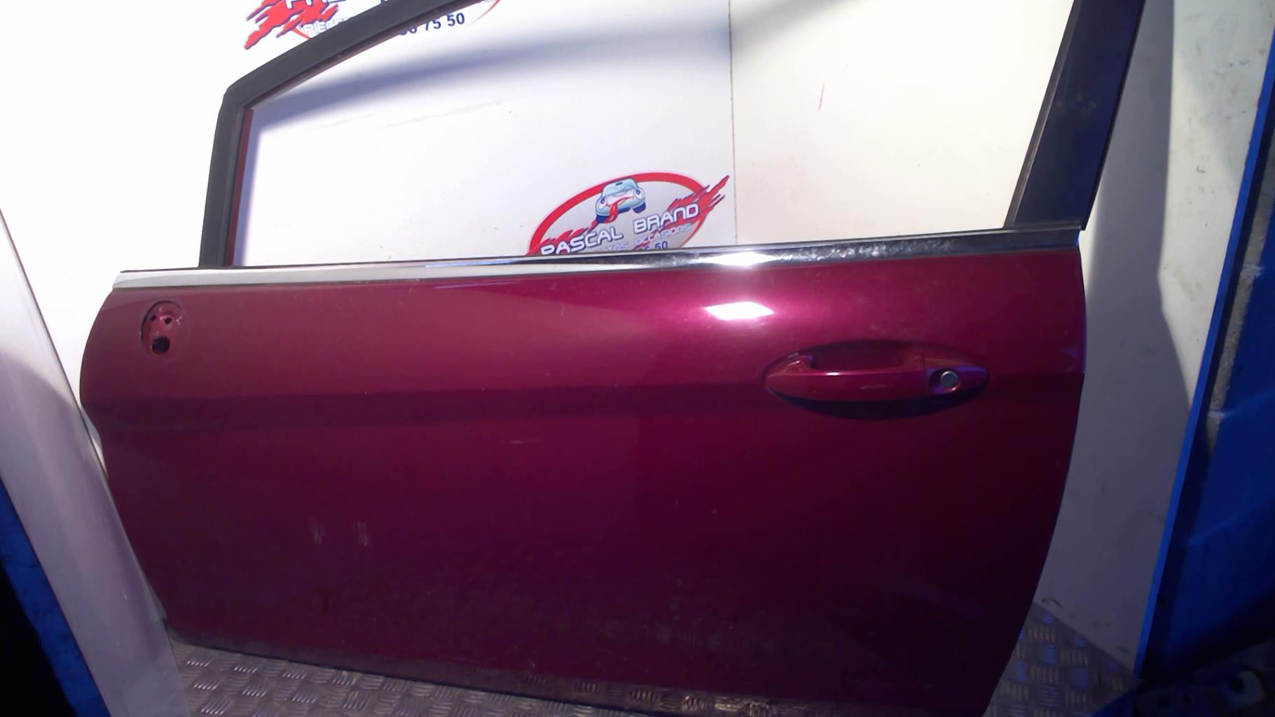 Portiera anteriore sinistra FORD FIESTA 6 PHASE 1 Diésel - 1