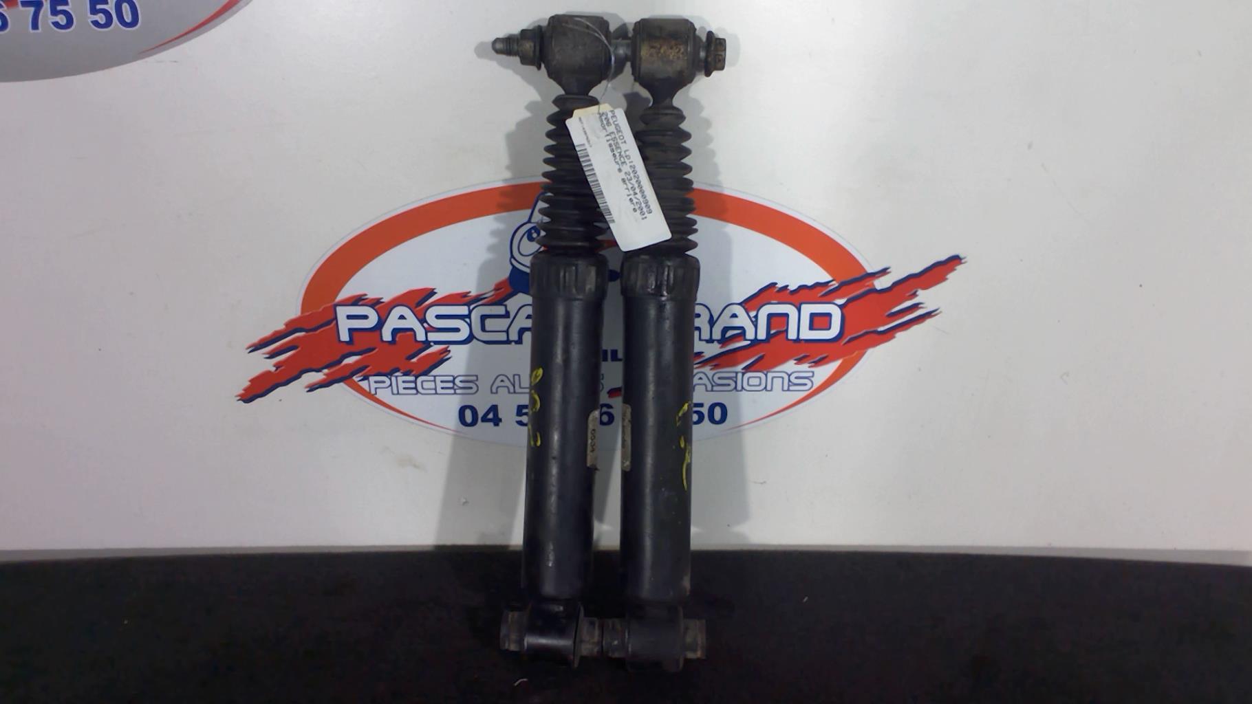 Ammortizzatori posteriori PEUGEOT 206 Gasolina - 1