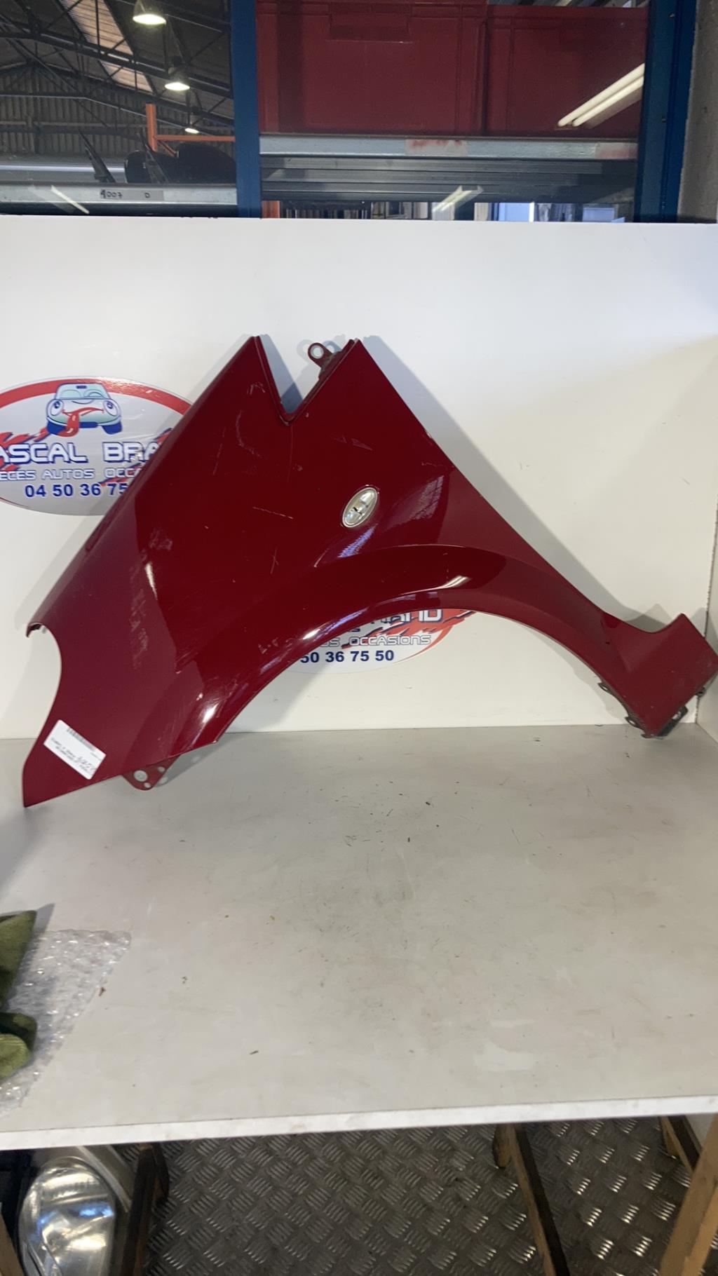 Parafango anteriore sinistro CITROEN C3 PLURIEL PHASE 2 CABRIOLET Gasolina - 1