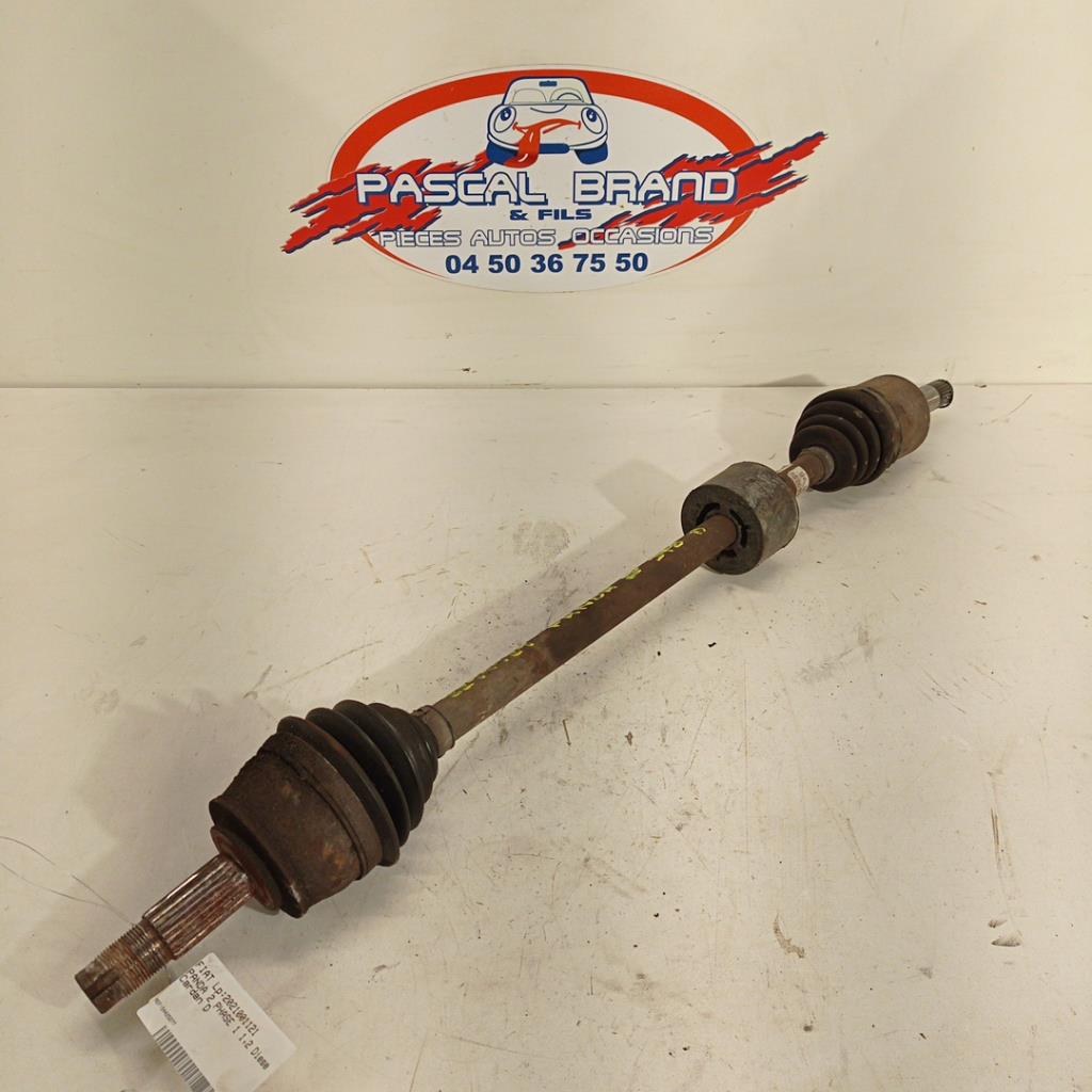 Giunto cardanico albero di trasmissione destro FIAT PANDA 2 PHASE 1 Diésel - 1