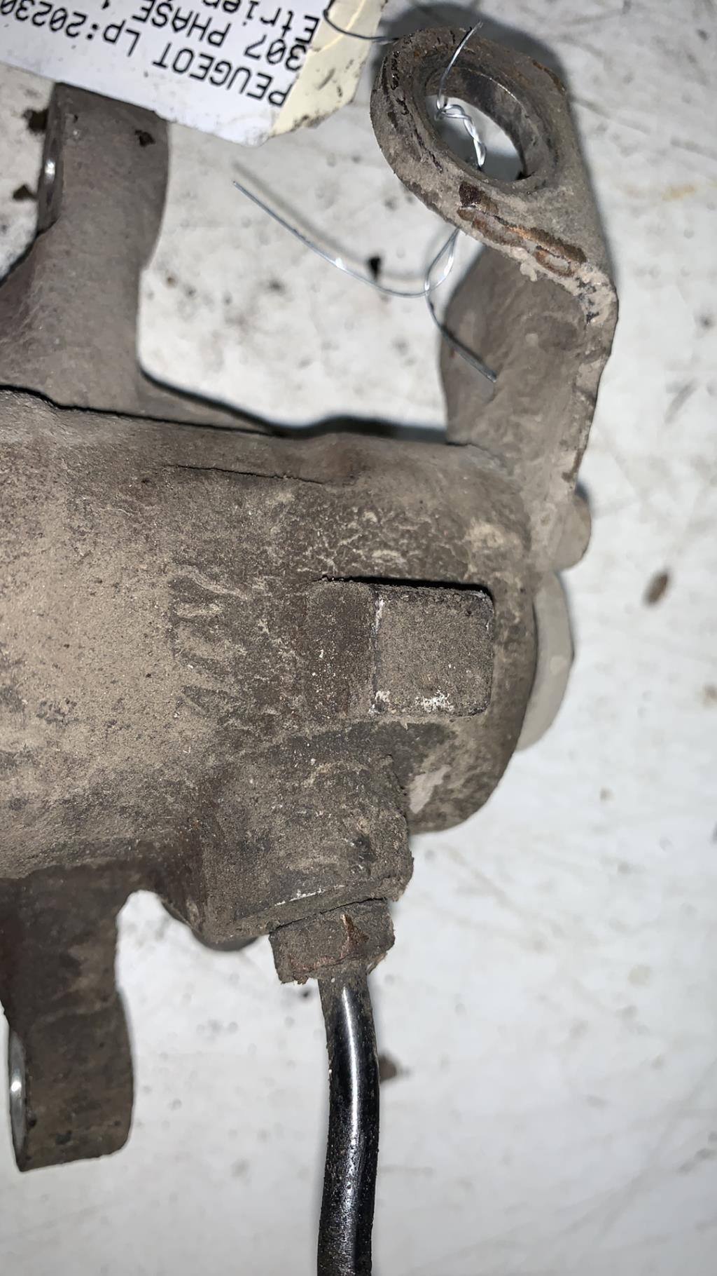 Pinza freni posteriore sinistra PEUGEOT 307 PHASE 1 Gasolina - 1