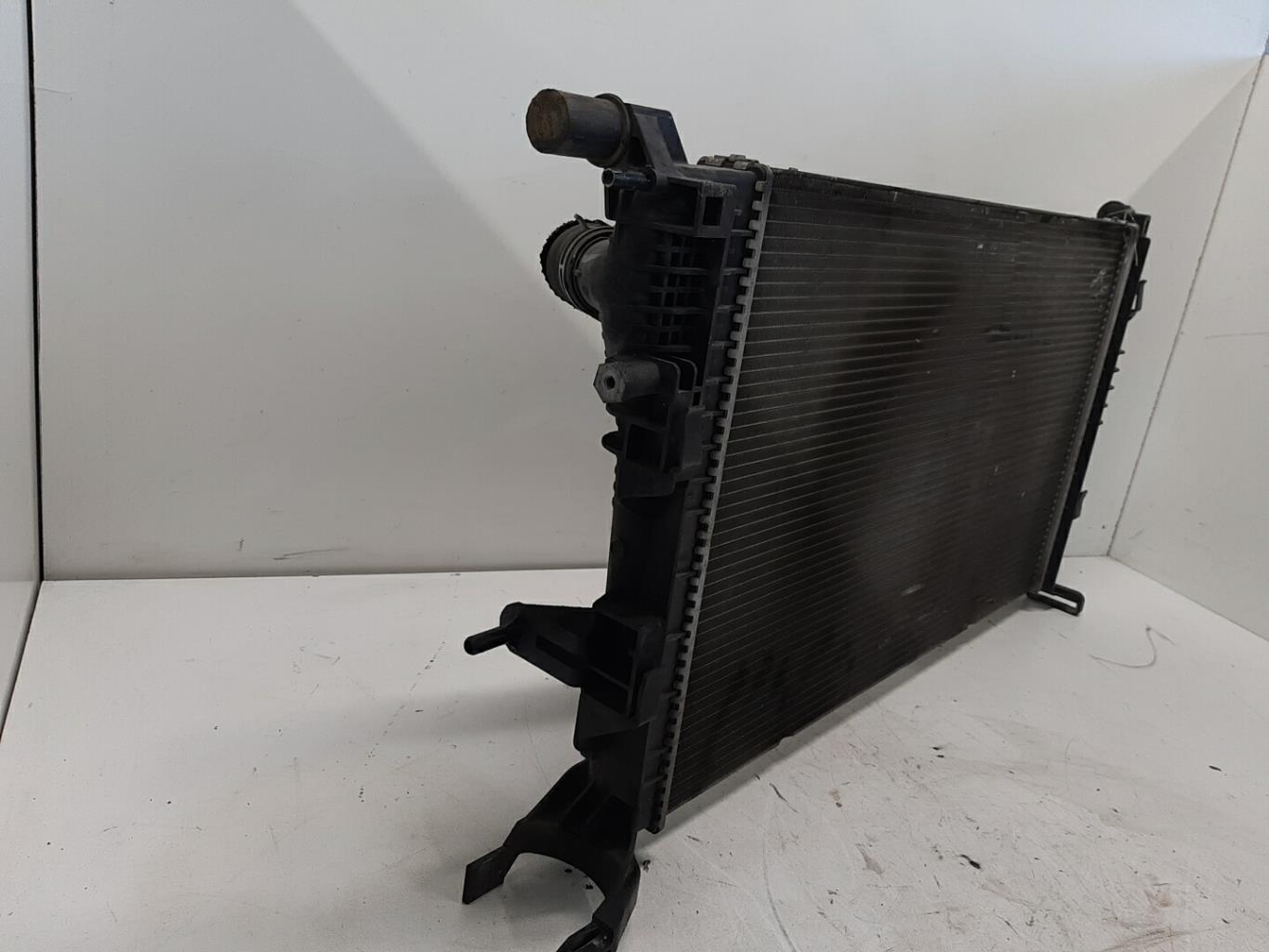 Radiateur eau RENAULT SCENIC 3 PHASE 1 Diesel - 1
