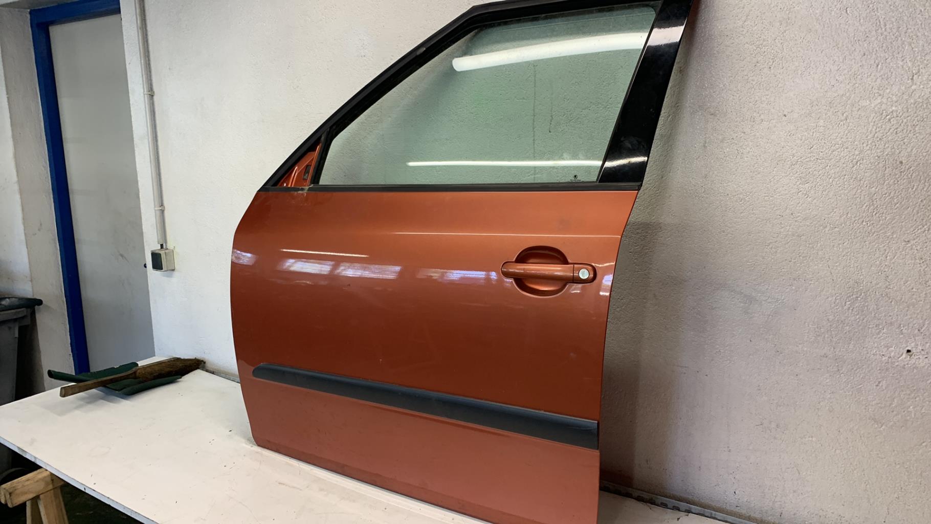 Portiera anteriore sinistra SKODA FABIA 2 PHASE 1 Gasolina - 1